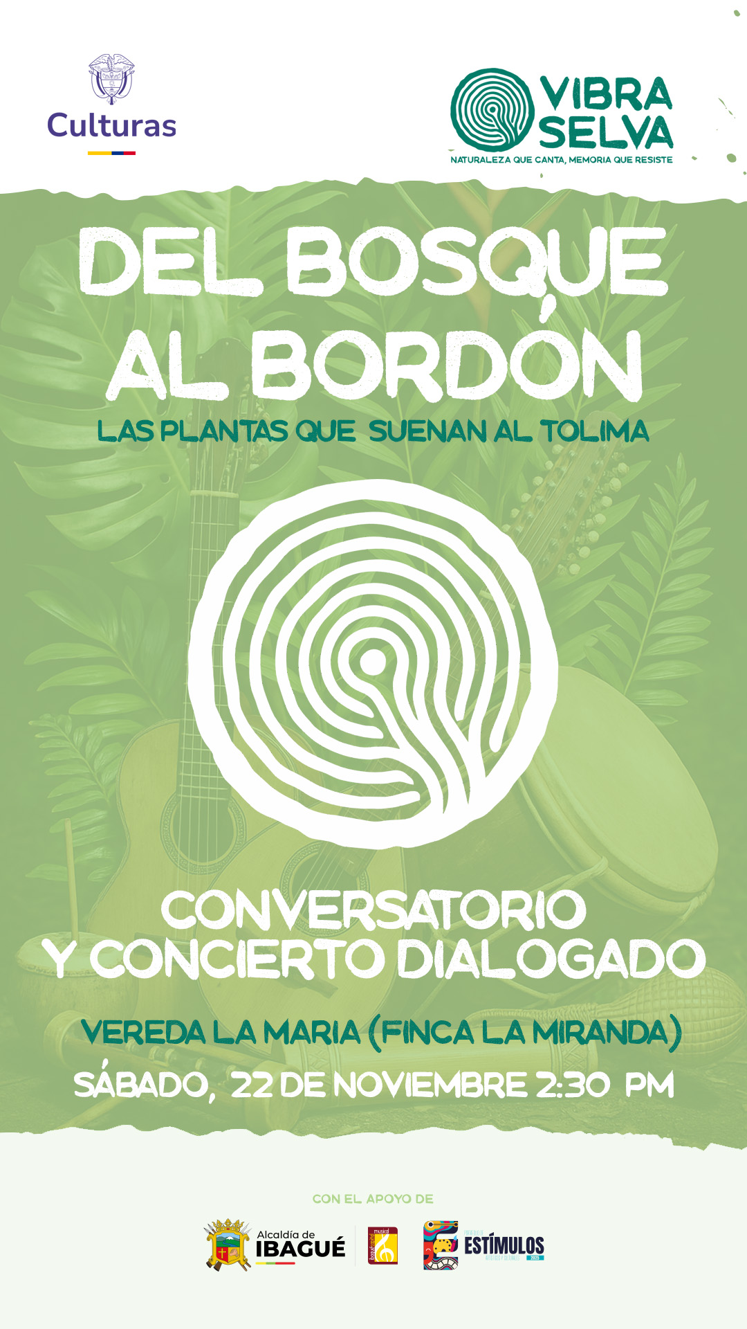 El latido de la madera — Concierto Dialogado #7